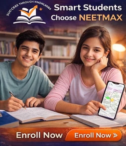 Untitled design (19)